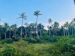Valuable Residential Lands for Sale – Bentota.