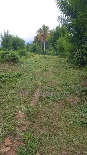 Land for Sale Pilimathalawa