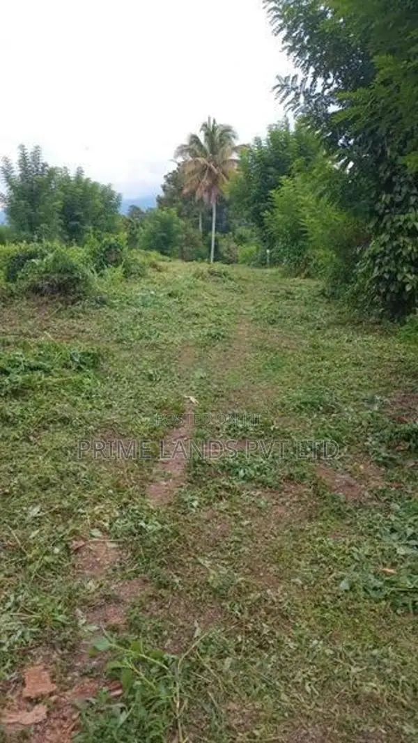 Land for Sale Pilimathalawa