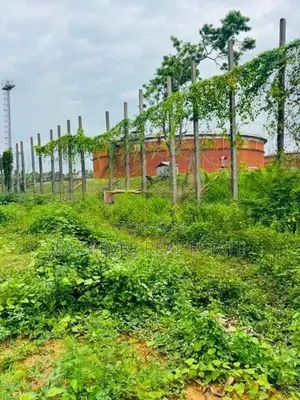 වැල්ලන්පිටිය, කොටුවිලින් පර්චස් 20ක ඉඩමක්