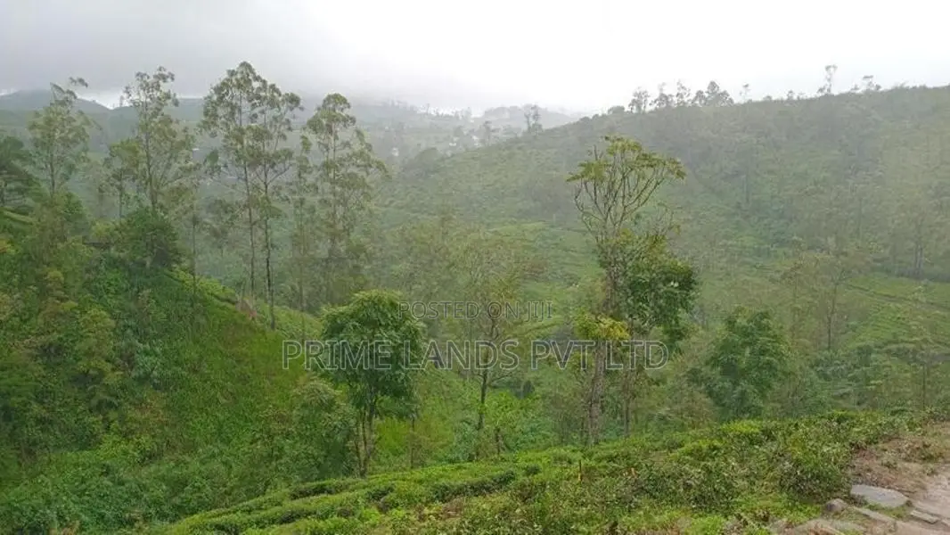 Land for Sale Hatton