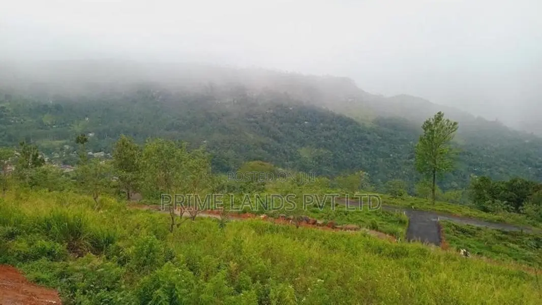 Land for Sale Pundaluoya