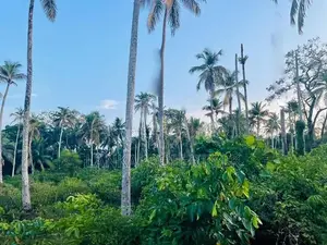 Valuable Residential Lands for Sale – Bentota.