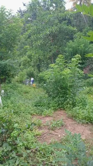 Land for Sale Pilimathalawa