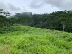 Land for Sale Pussellawa