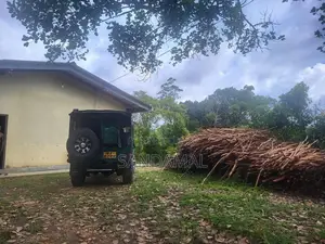 Cinnamon Land for Sale Horagoda Weligama