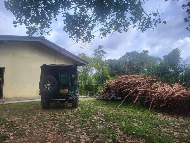 Cinnamon Land for Sale Horagoda Weligama