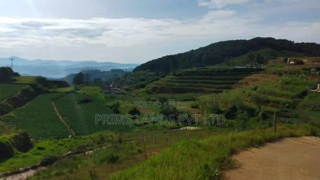 Land for Sale Ambewela