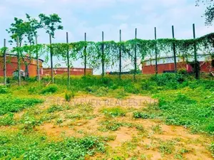 වැල්ලන්පිටිය, කොටුවිලින් පර්චස් 20ක ඉඩමක්