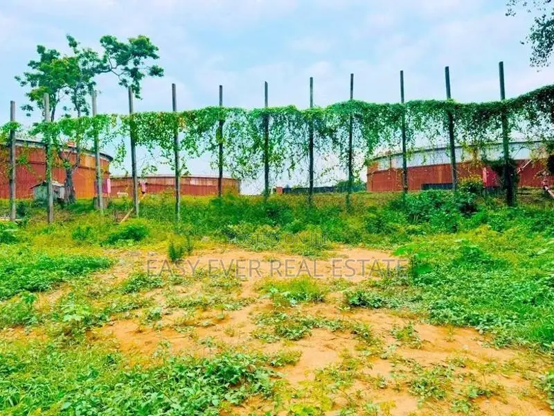 වැල්ලන්පිටිය, කොටුවිලින් පර්චස් 20ක ඉඩමක්
