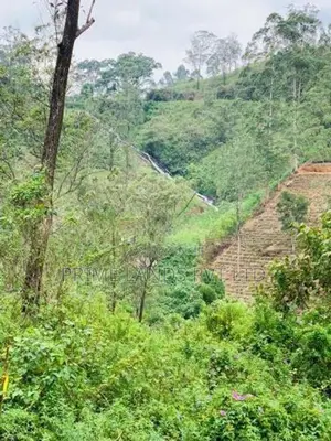 Land for Sale Hatton