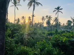 Valuable Residential Lands for Sale – Bentota.