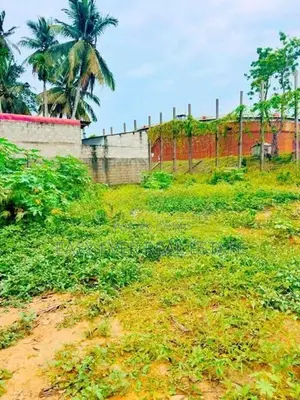 වැල්ලන්පිටිය, කොටුවිලින් පර්චස් 20ක ඉඩමක්