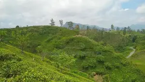 Land for Sale Hatton