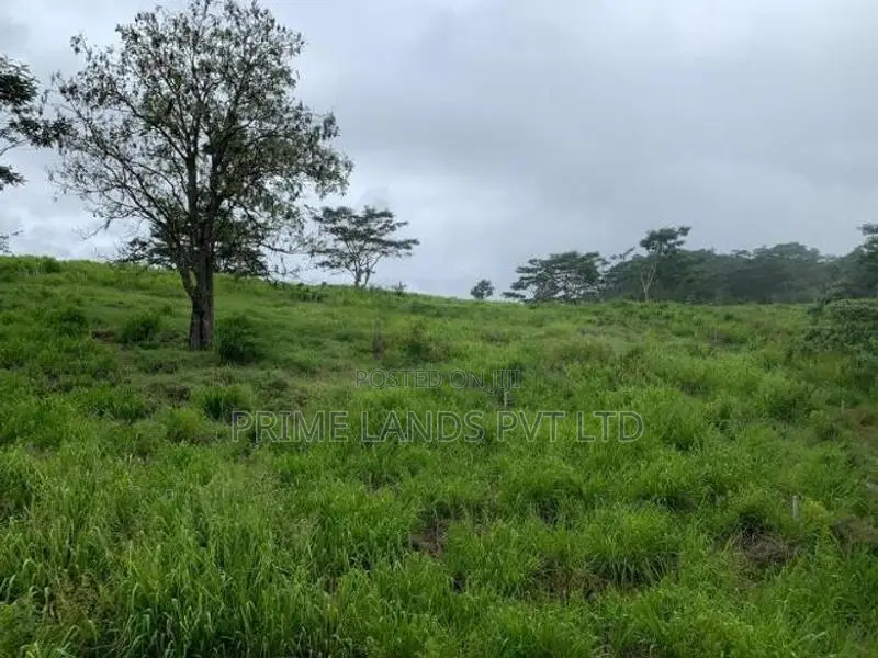 Land for Sale Pussellawa