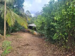 Cinnamon Land for Sale Horagoda Weligama