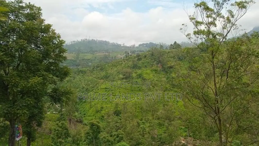 Land for Sale Hatton