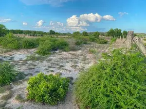 Land for Sale Batticaola
