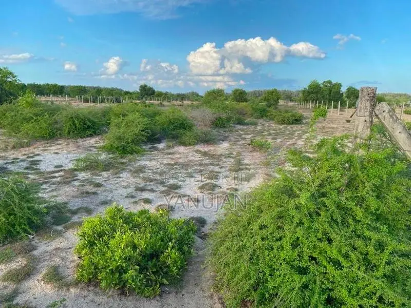 Land for Sale Batticaola