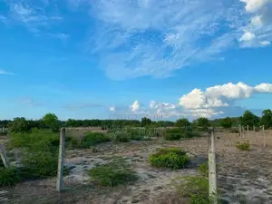 Land for Sale Batticaola