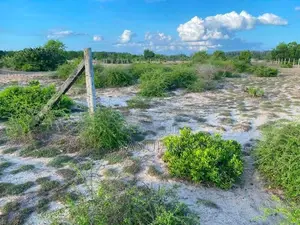 Land for Sale Batticaola