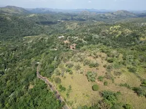 Best Tourism Lands for Sale - Ella