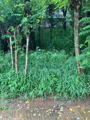 Land for Sale in Kengalla