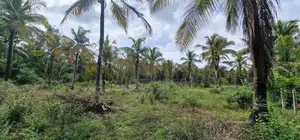 Land for Sale at kuliyapitiya