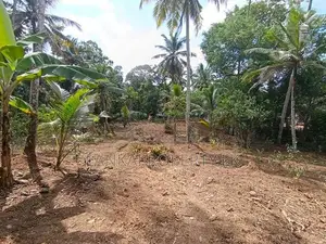 367 Perches Scenic Land for Sale in Ahangama.