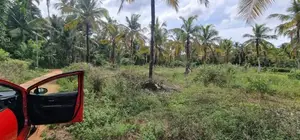 Land for Sale at kuliyapitiya