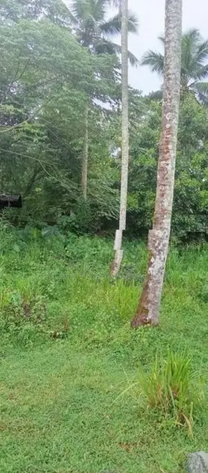 Land For Sale in Homagama