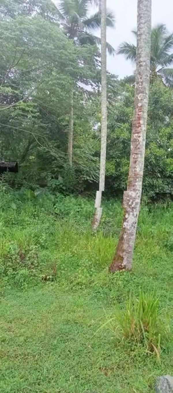 Land For Sale in Homagama