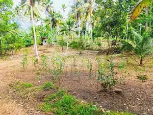 367 Perches Scenic Land for Sale in Ahangama.