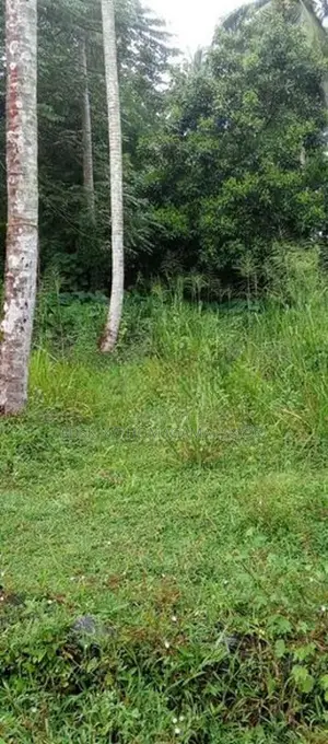 Land For Sale in Homagama