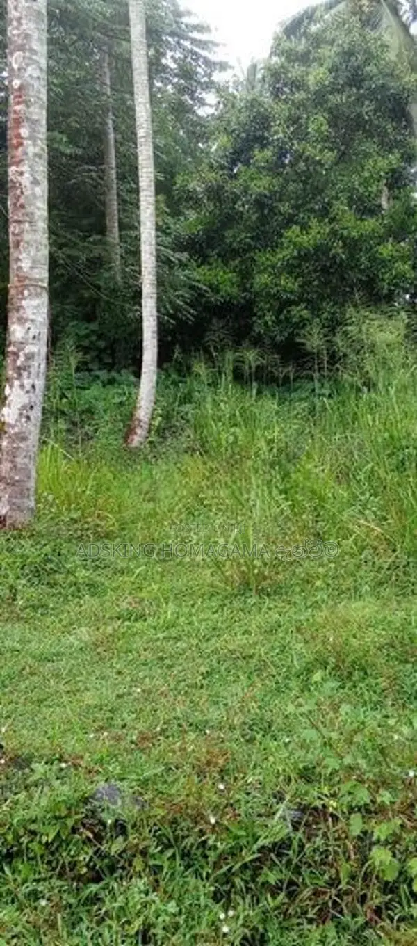 Land For Sale in Homagama