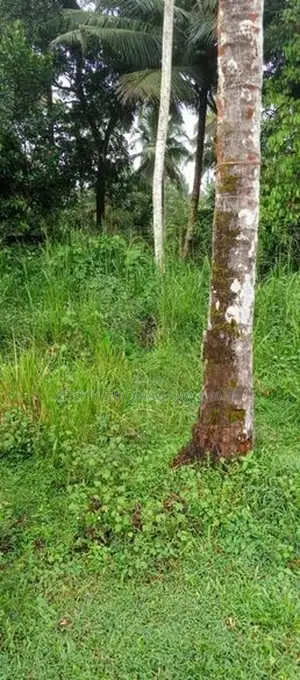 Land For Sale in Homagama