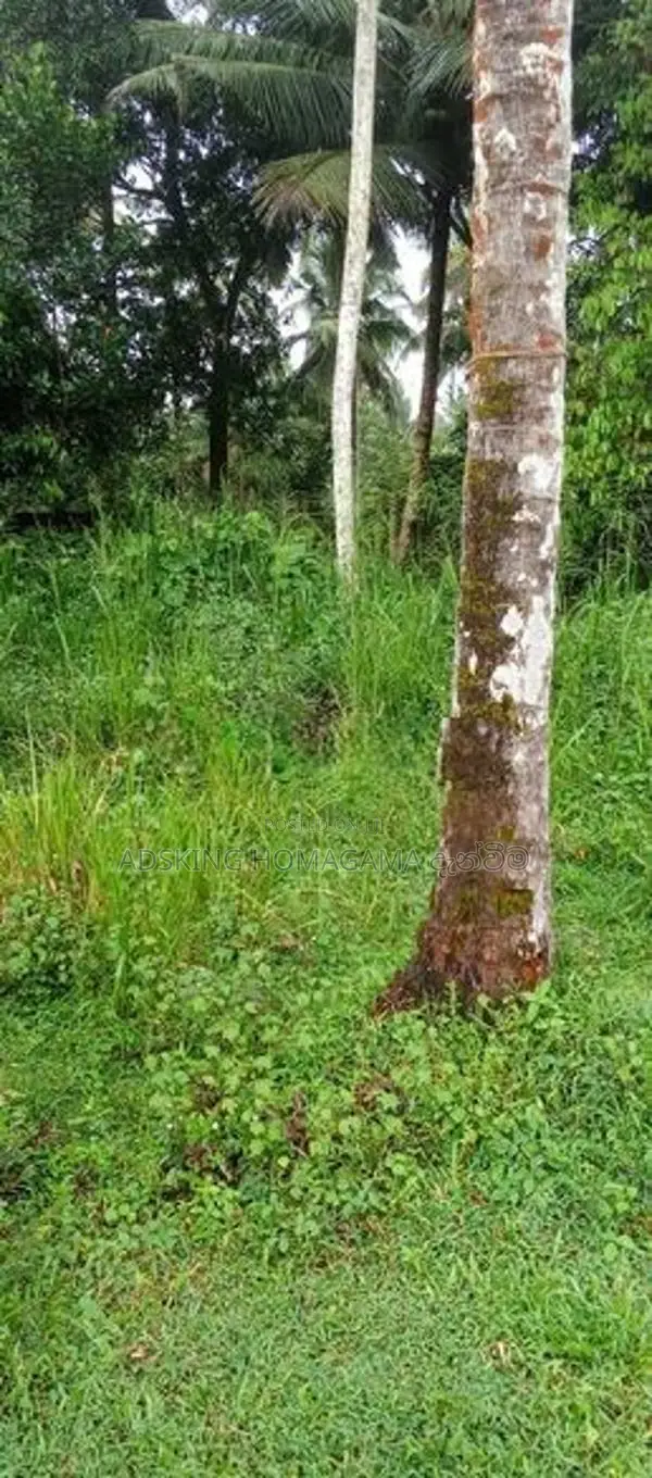 Land For Sale in Homagama