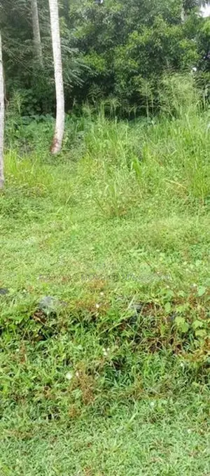 Land For Sale in Homagama