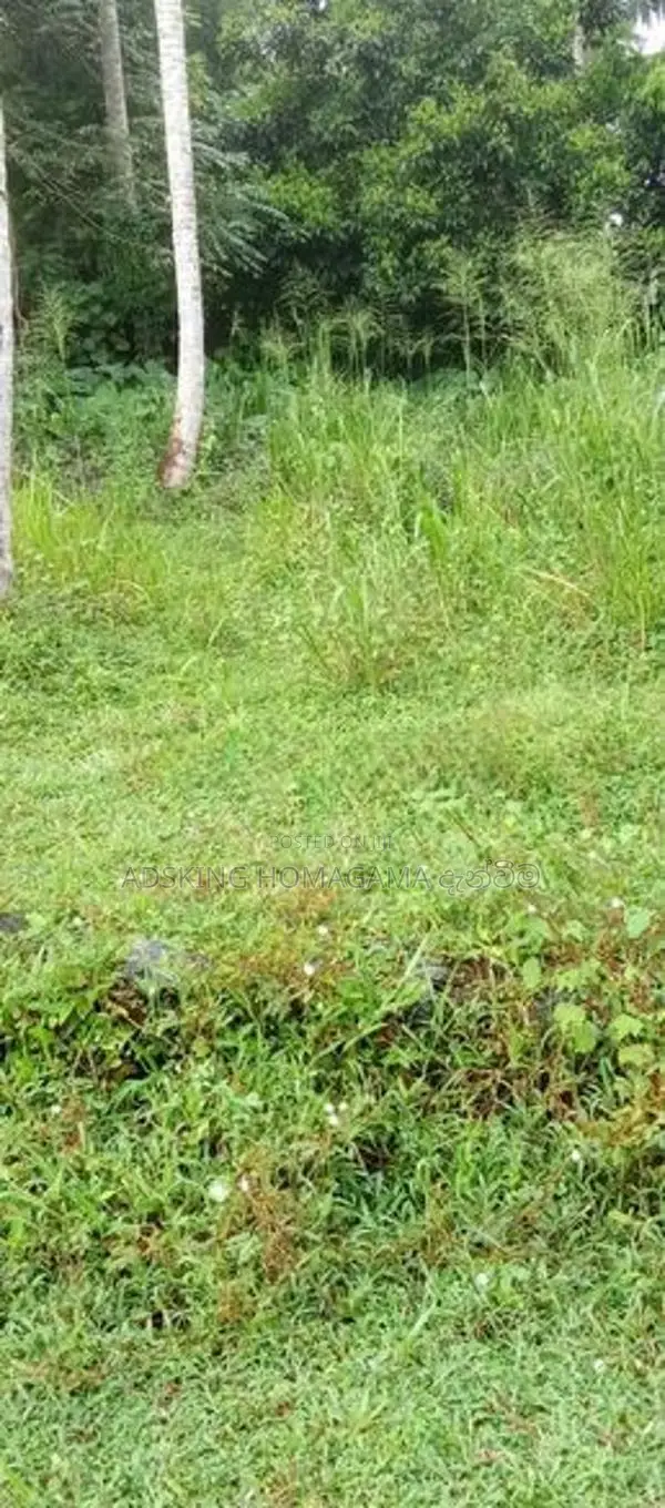 Land For Sale in Homagama