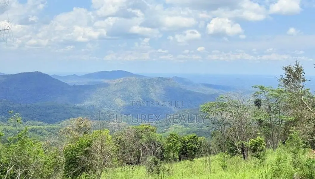 Land for Sale in Haputale