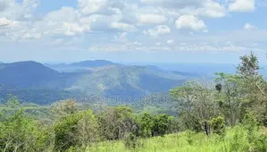 Land for Sale in Haputale