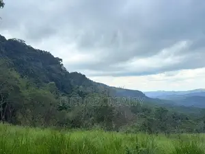 Tourism Land for Sale in Beragala