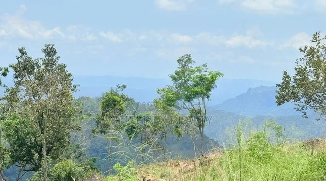 Land for Sale in Haputale