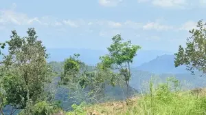 Land for Sale in Haputale