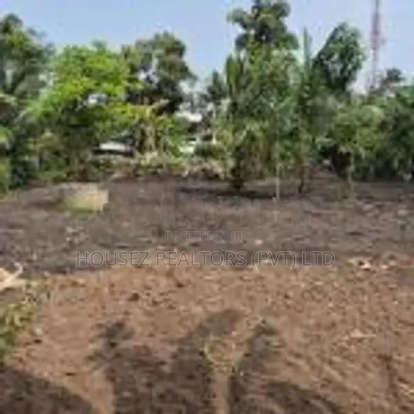 Land for Rent – Ja-Ela, Weligampitiya (Palliya Road)