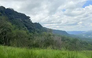 Land for Sale in Haputale