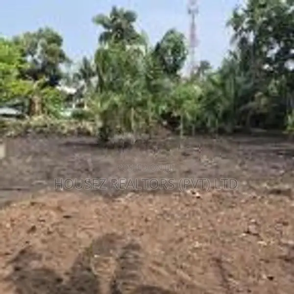 Land for Rent – Ja-Ela, Weligampitiya (Palliya Road)