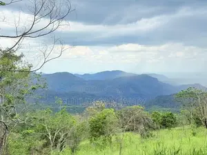 Tourism Land for Sale in Beragala