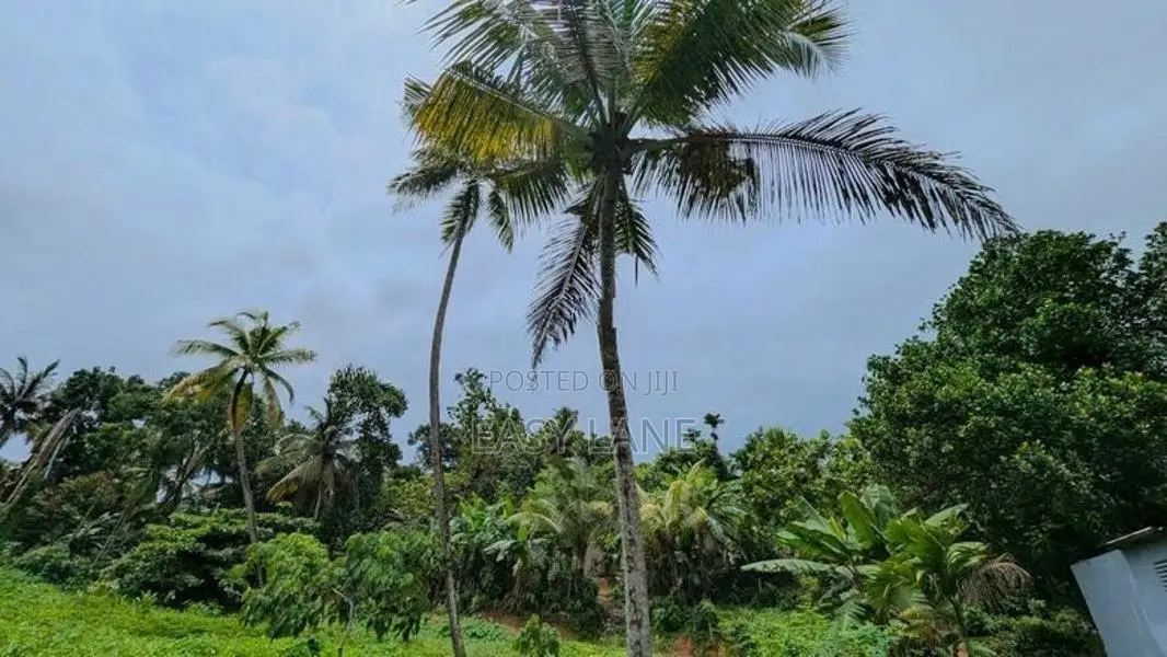 කඩවත Highway පිවිසුම පේන දුරින් වටිනා ඉඩමක්