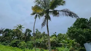 කඩවත Highway පිවිසුම පේන දුරින් වටිනා ඉඩමක්